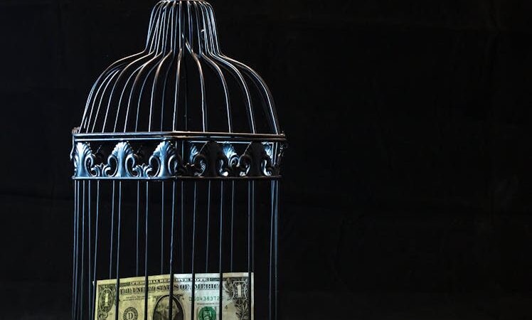 ¿Qué es la integración económica?