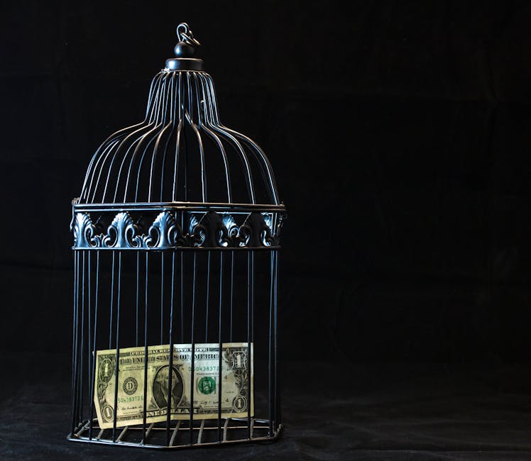¿Qué es la integración económica?