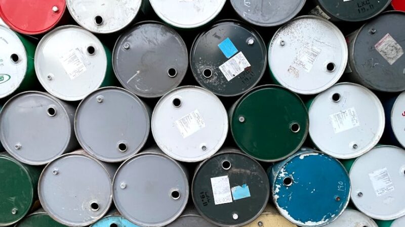 ¿Qué es la petrolización de la economía?