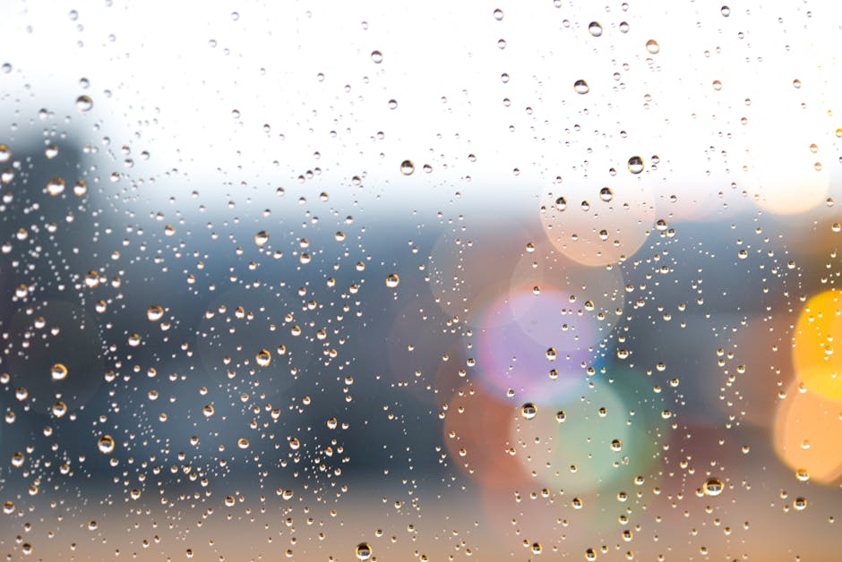 ¿Qué es la precipitación pluvial?