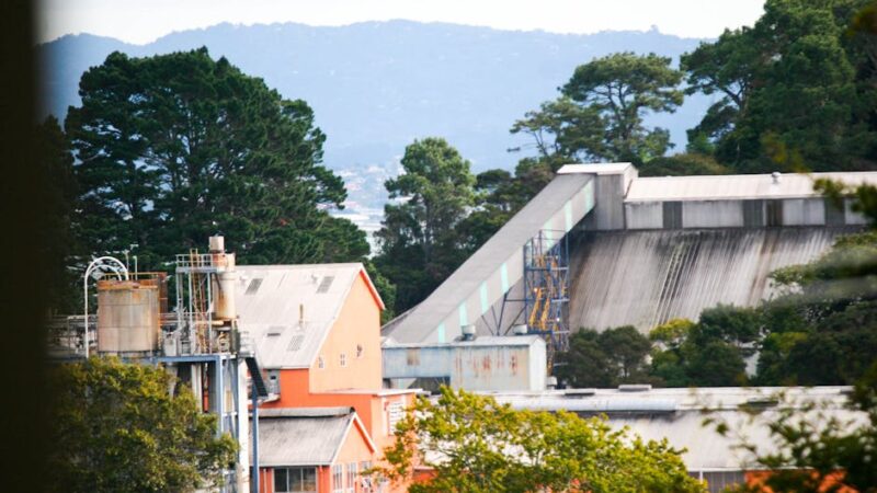 ¿Qué es la producción forestal?