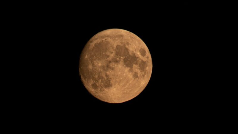 ¿Qué es la Selenofilia y cómo se expresa la fascinación por la Luna?