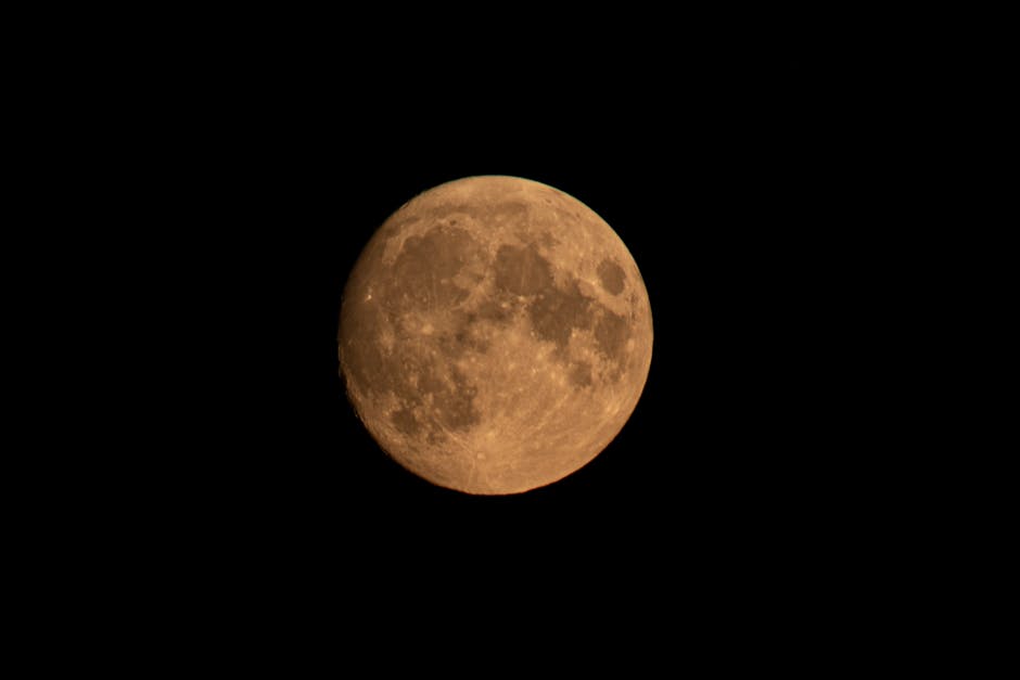 ¿Qué es la Selenofilia y cómo se expresa la fascinación por la Luna?