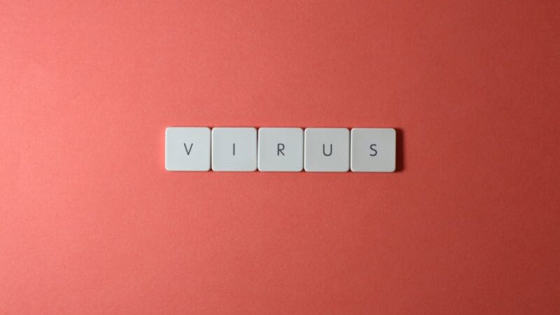 ¿Qué es un virus informático y cómo funciona?