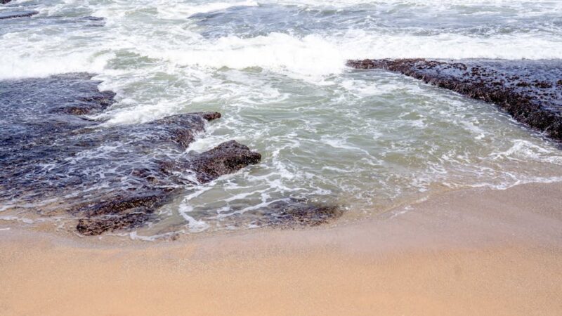 ¿Qué son las aguas oceánicas?