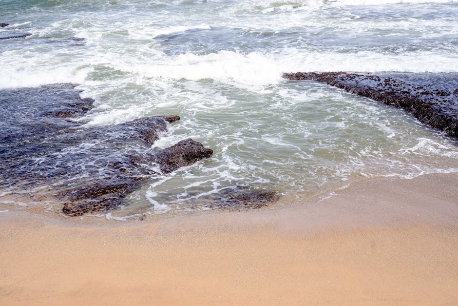 ¿Qué son las aguas oceánicas?