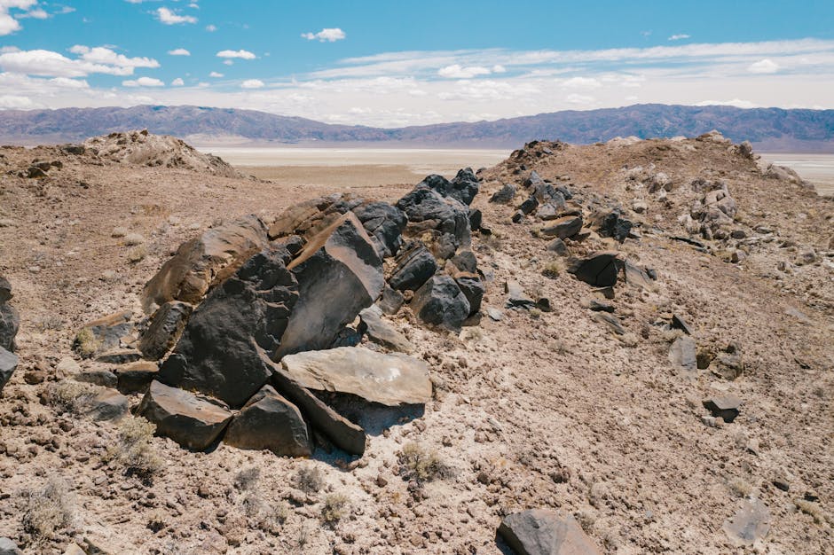 ¿Qué son las estructuras naturales?