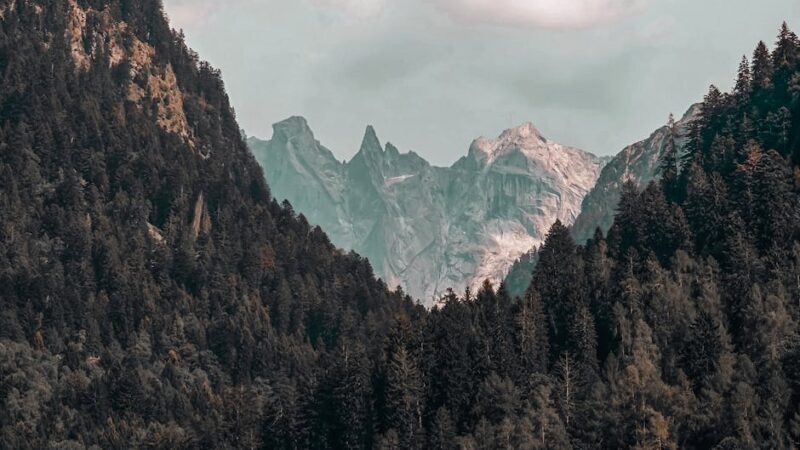 ¿Qué son las prioridades ambientales?
