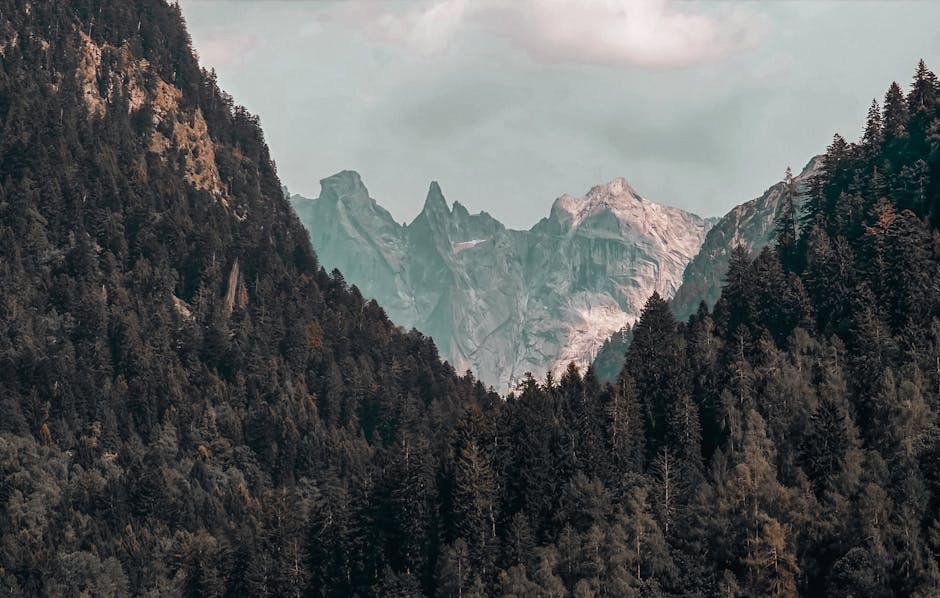 ¿Qué son las prioridades ambientales?