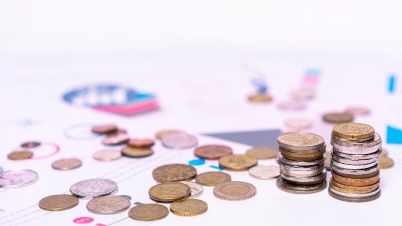 ¿Qué son las variables macroeconómicas?