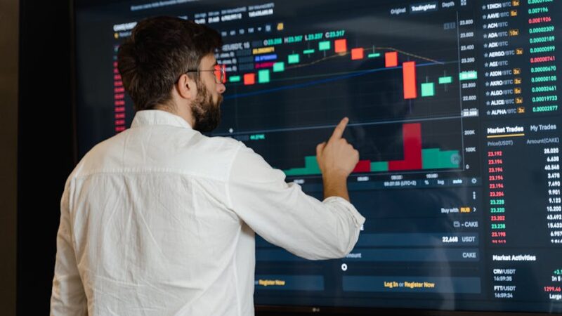 ¿Qué son los agentes económicos?