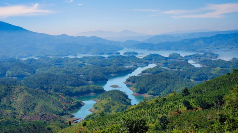 ¿Qué son los bosques tropicales?