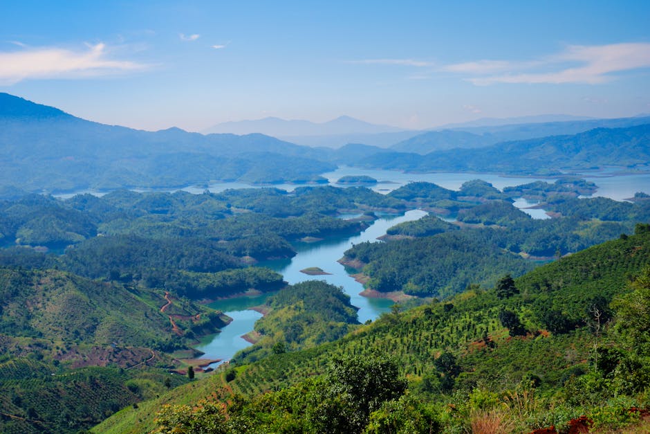 ¿Qué son los bosques tropicales?