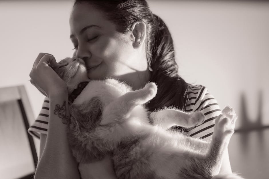 ¿Qué significa soñar con camada de gatos?