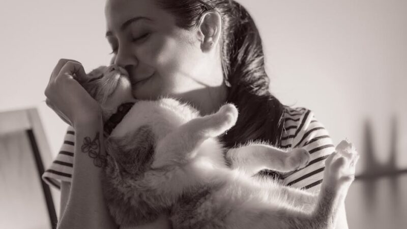 ¿Qué significa soñar con perro intentando morder?