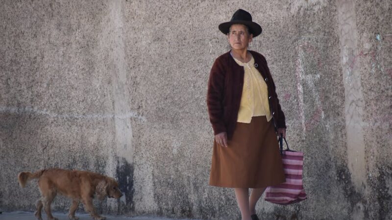 Significado de soñar con perro muerto